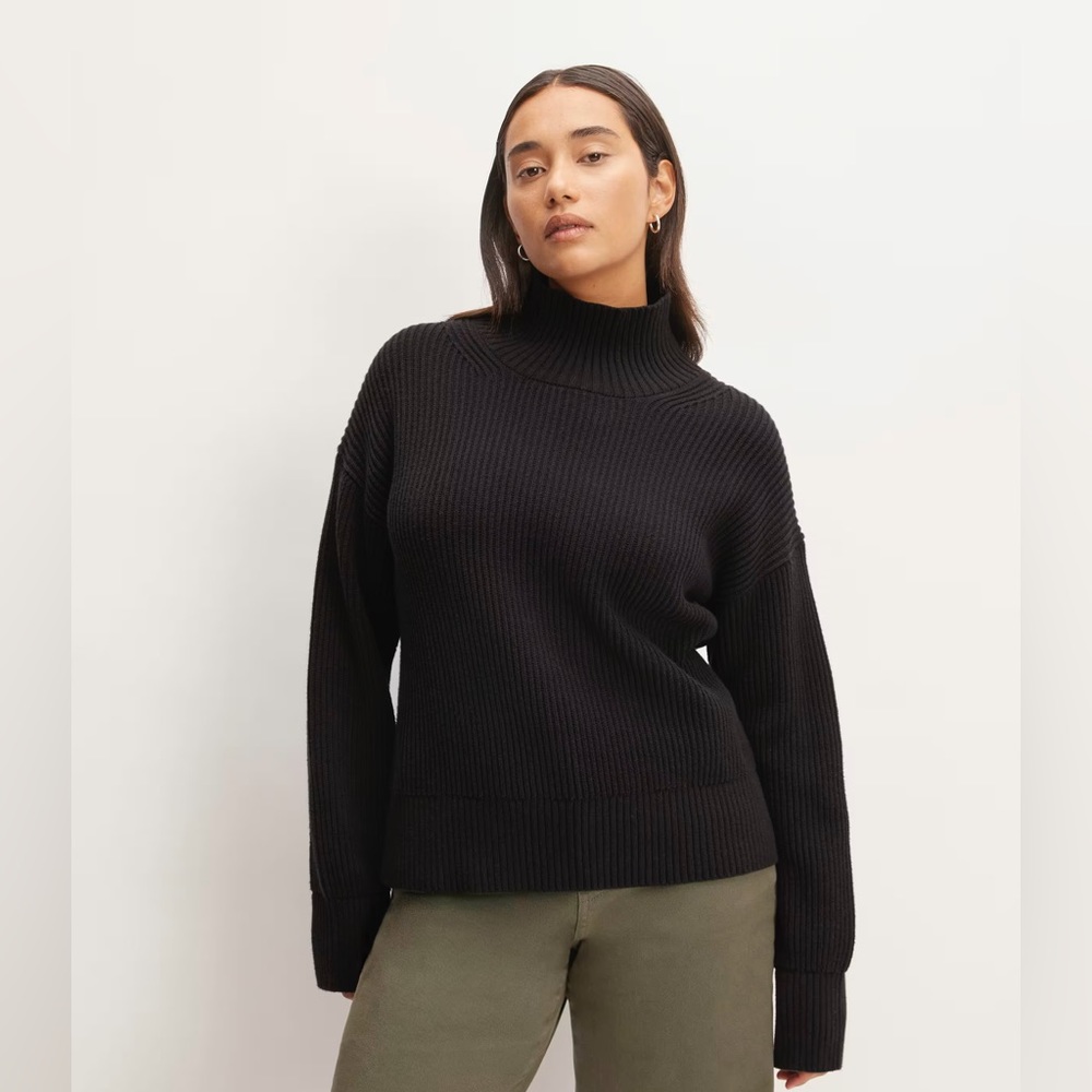 Everlane Cotton Turtle Neck Sweater